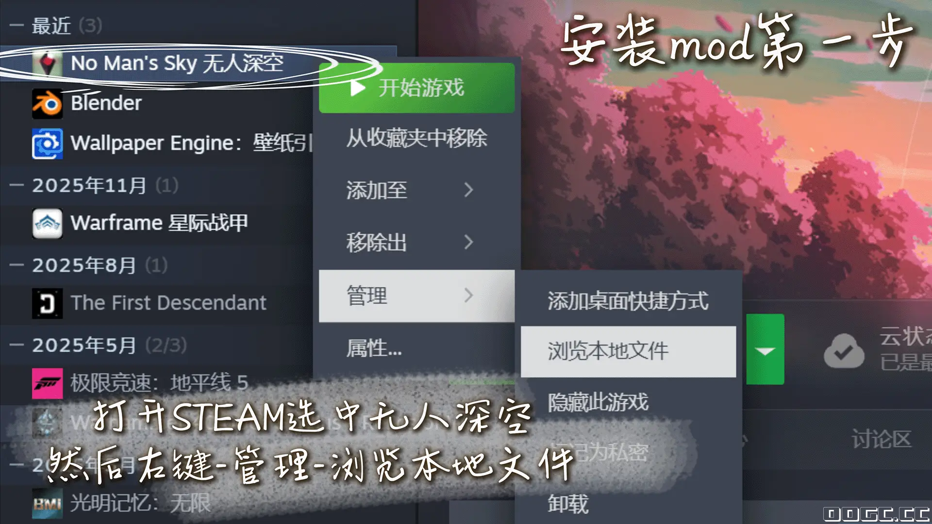 124016kibbidd2nz5ikipp.webp