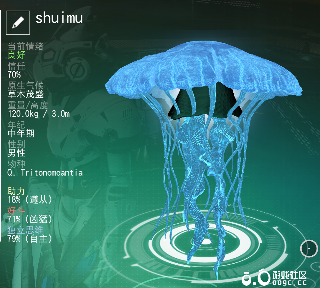 水母-1