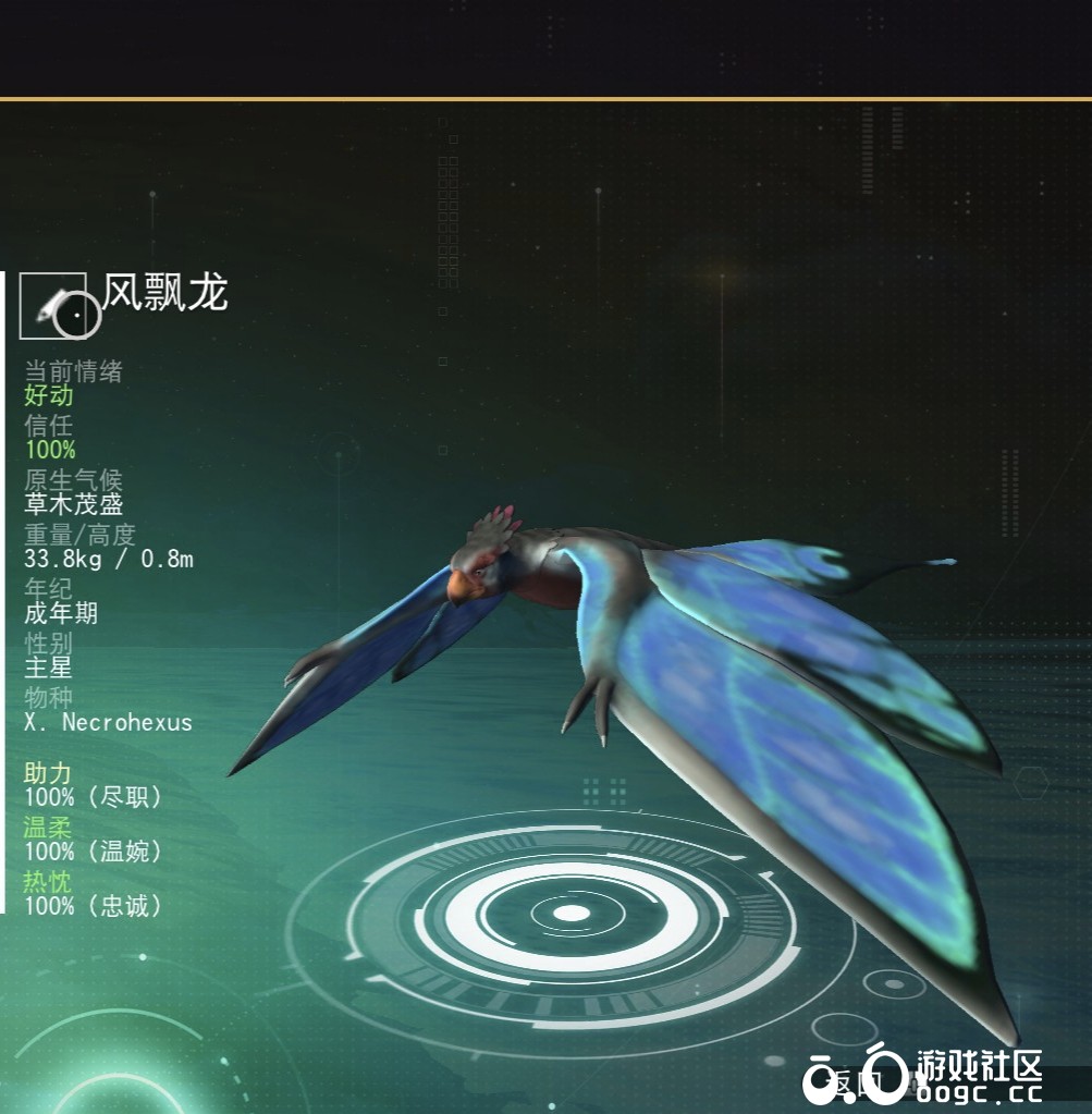 风飘龙-2