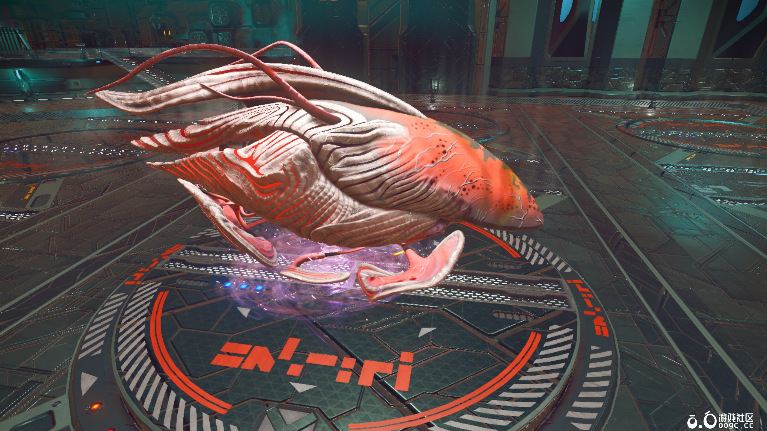 几个生物飞船-16