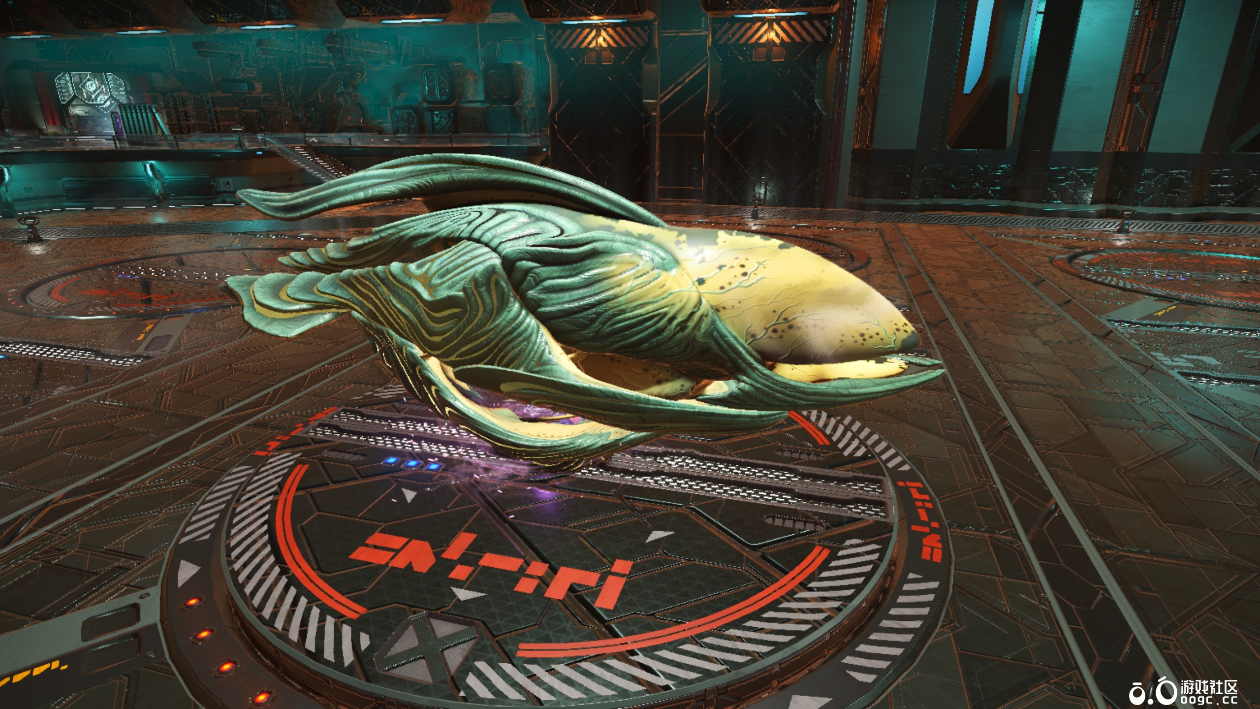 几个生物飞船-15