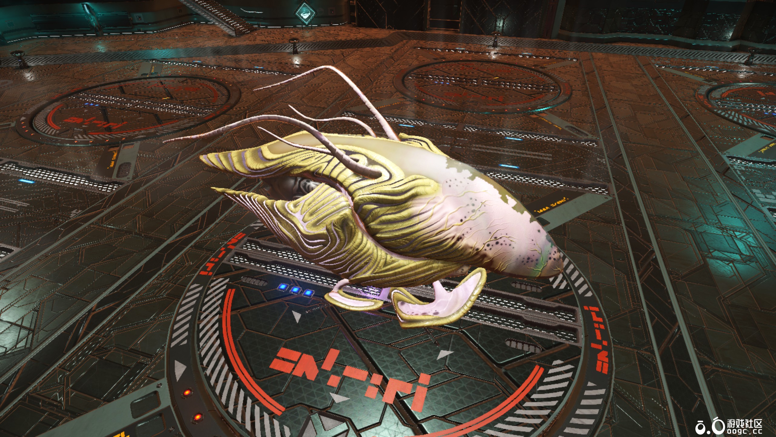 几个生物飞船-18