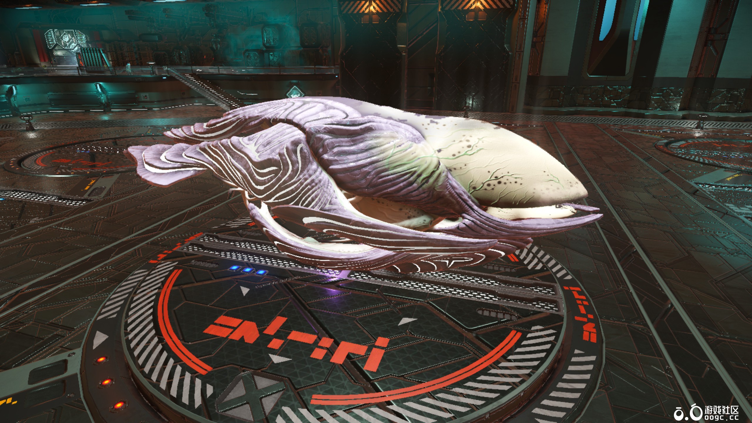 几个生物飞船-11