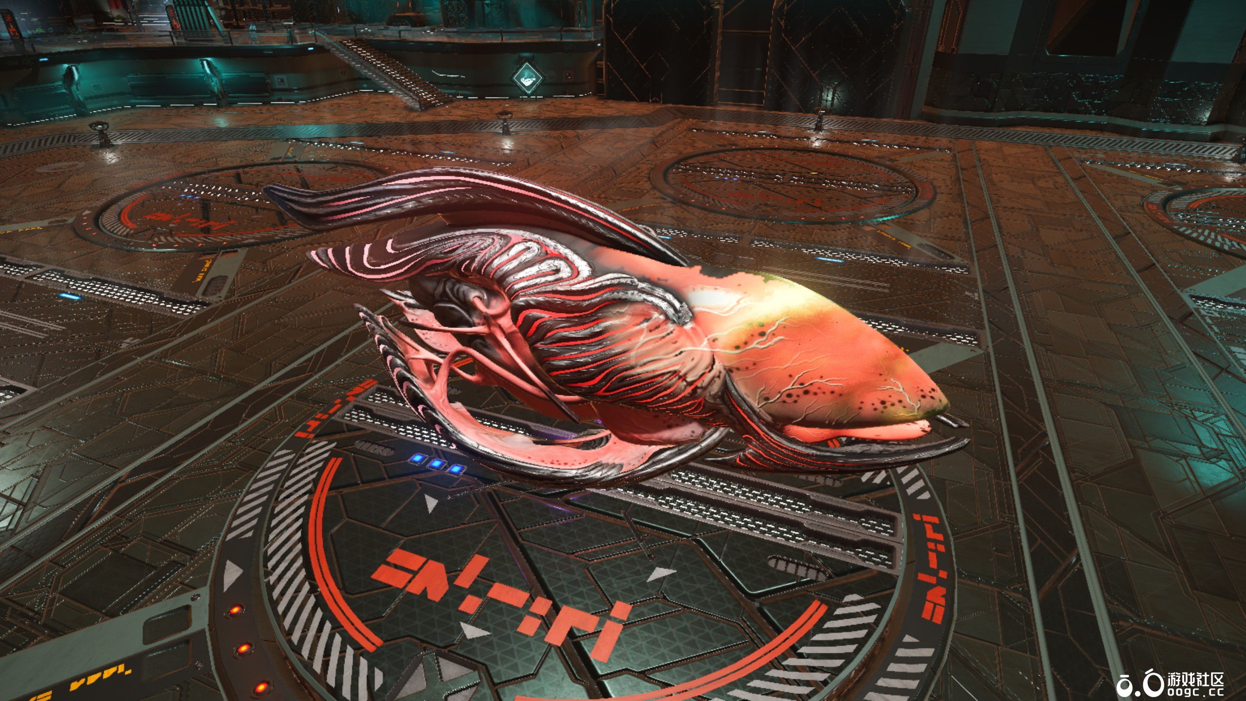 几个生物飞船-14