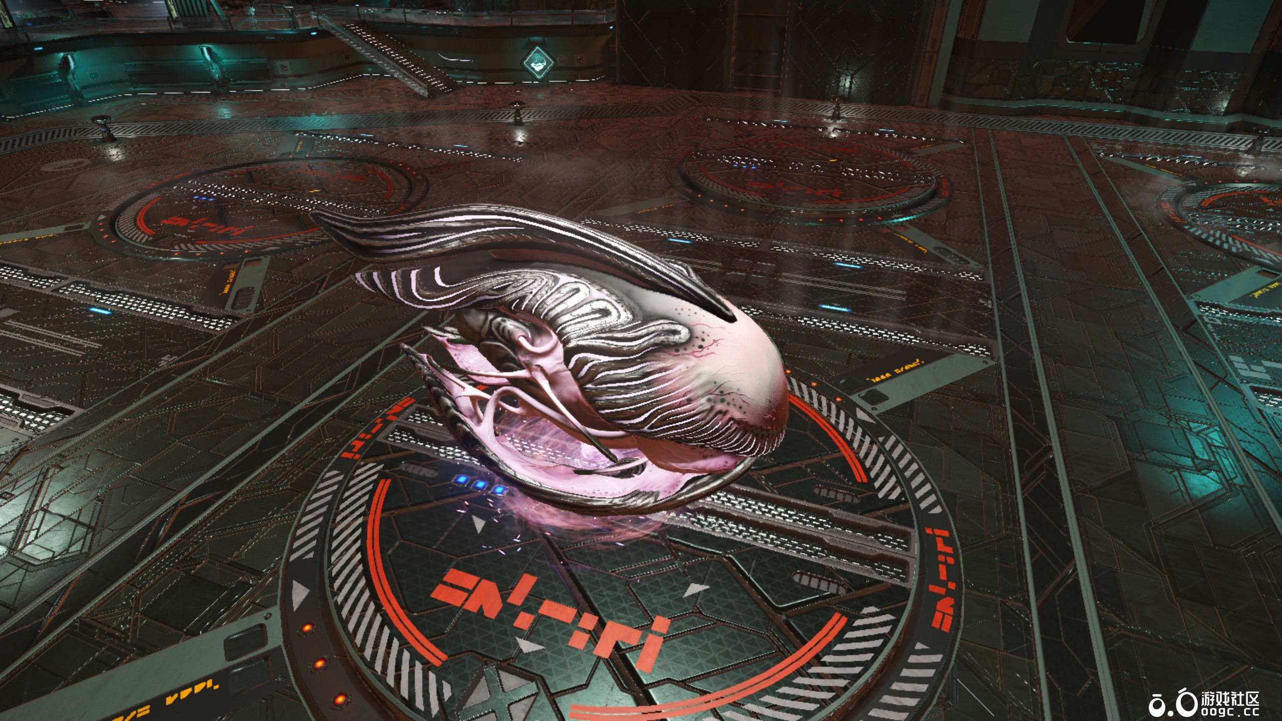 几个生物飞船-6