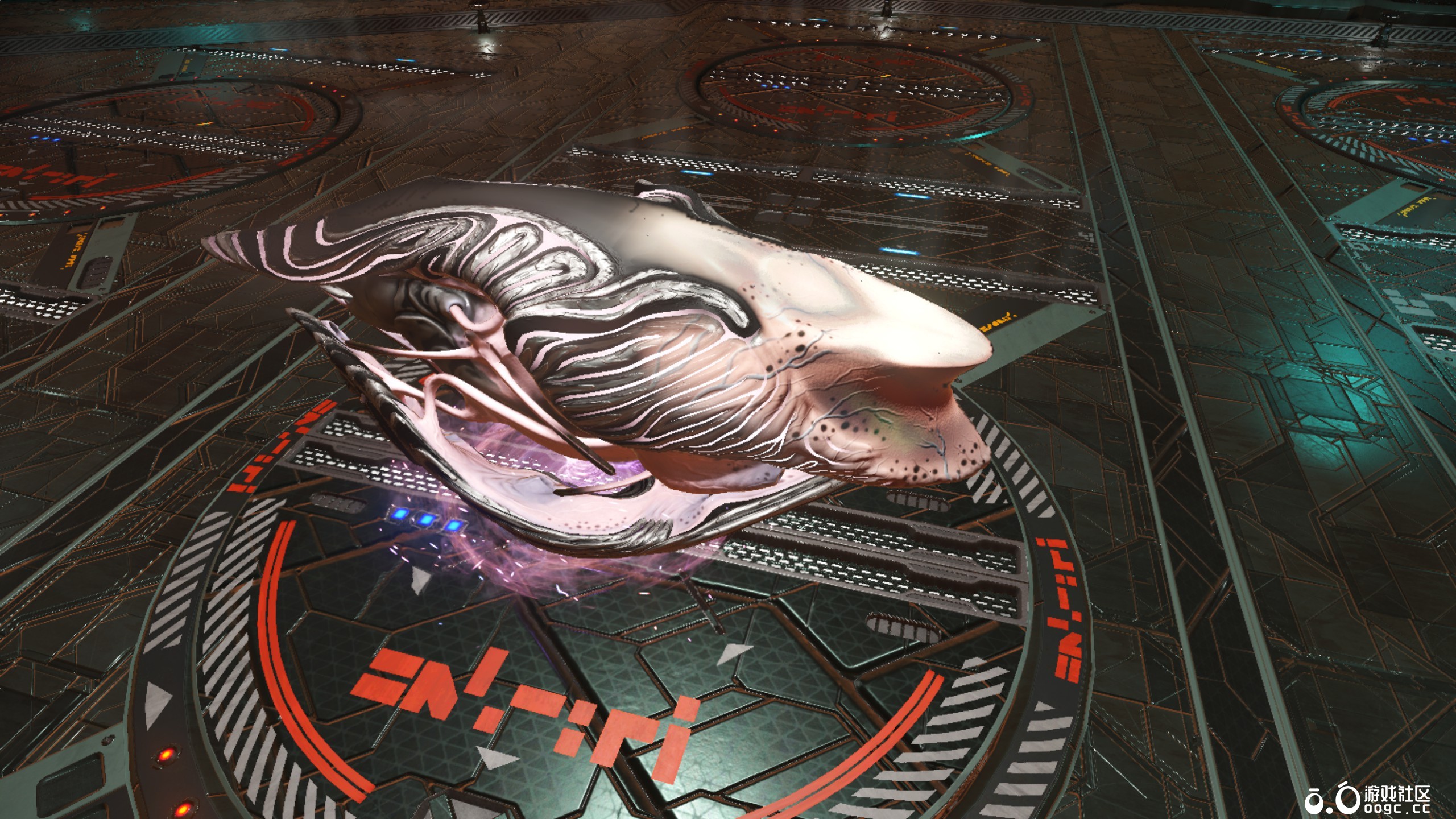 几个生物飞船-2