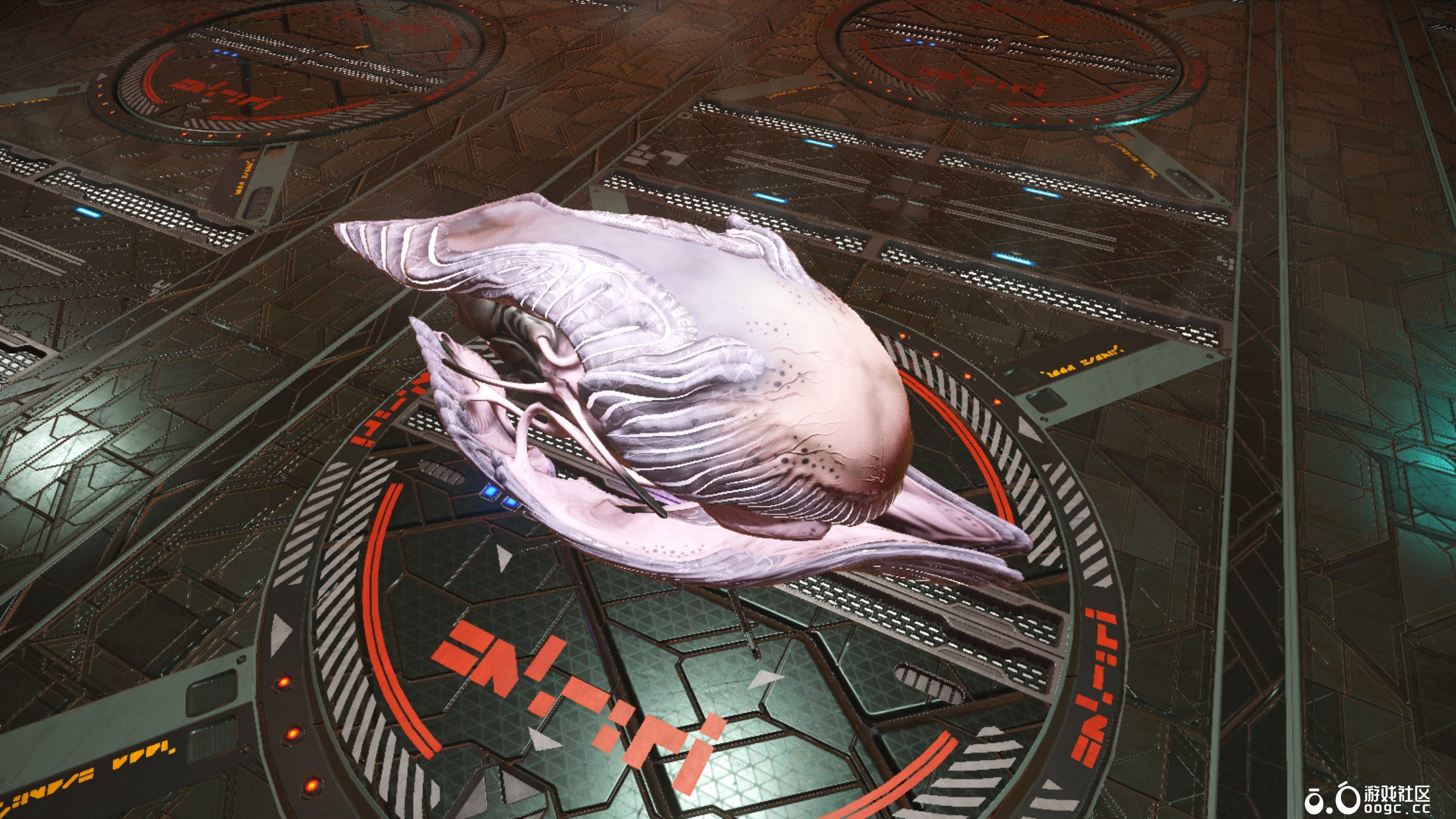 几个生物飞船-7