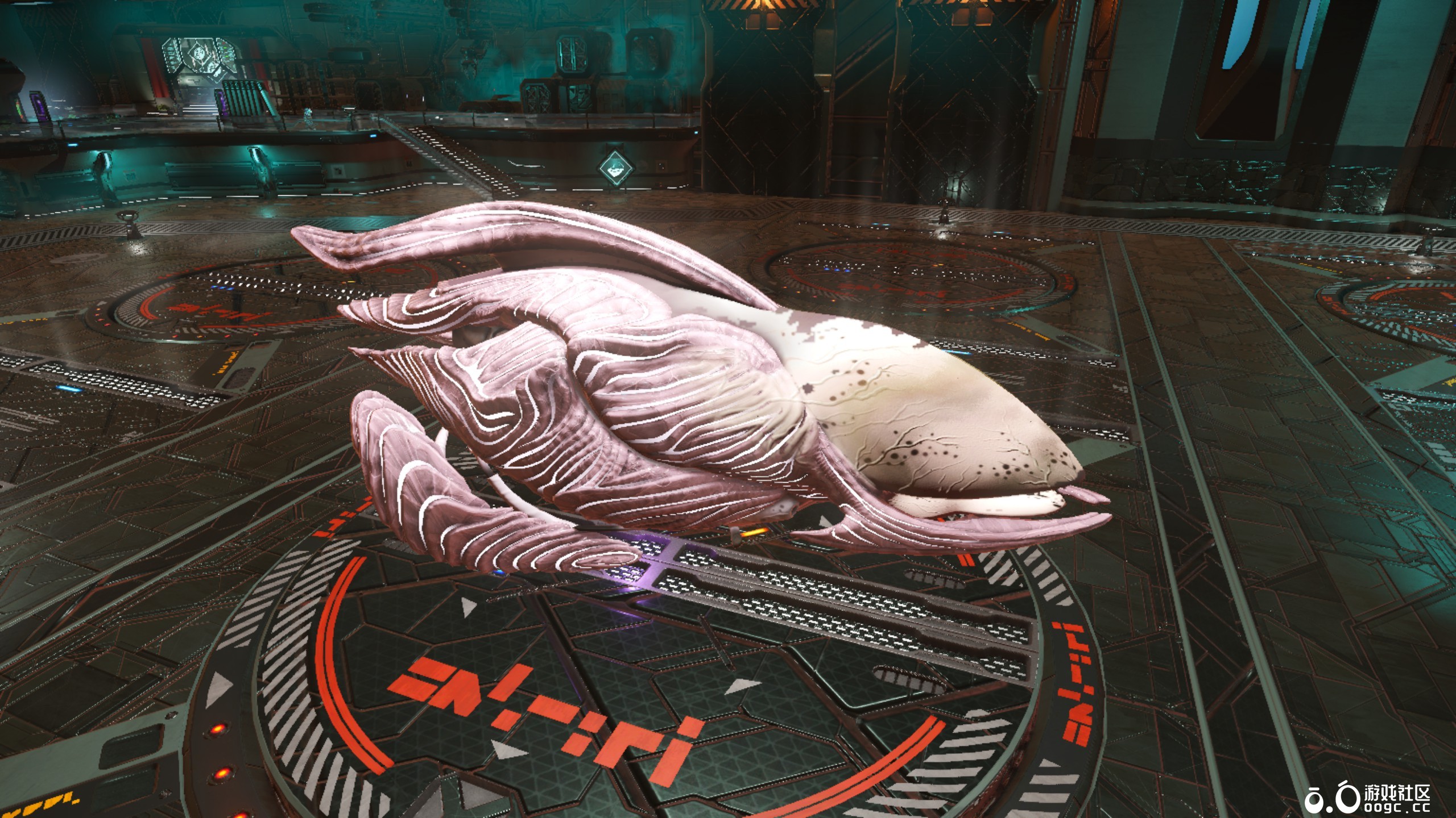 几个生物飞船-13