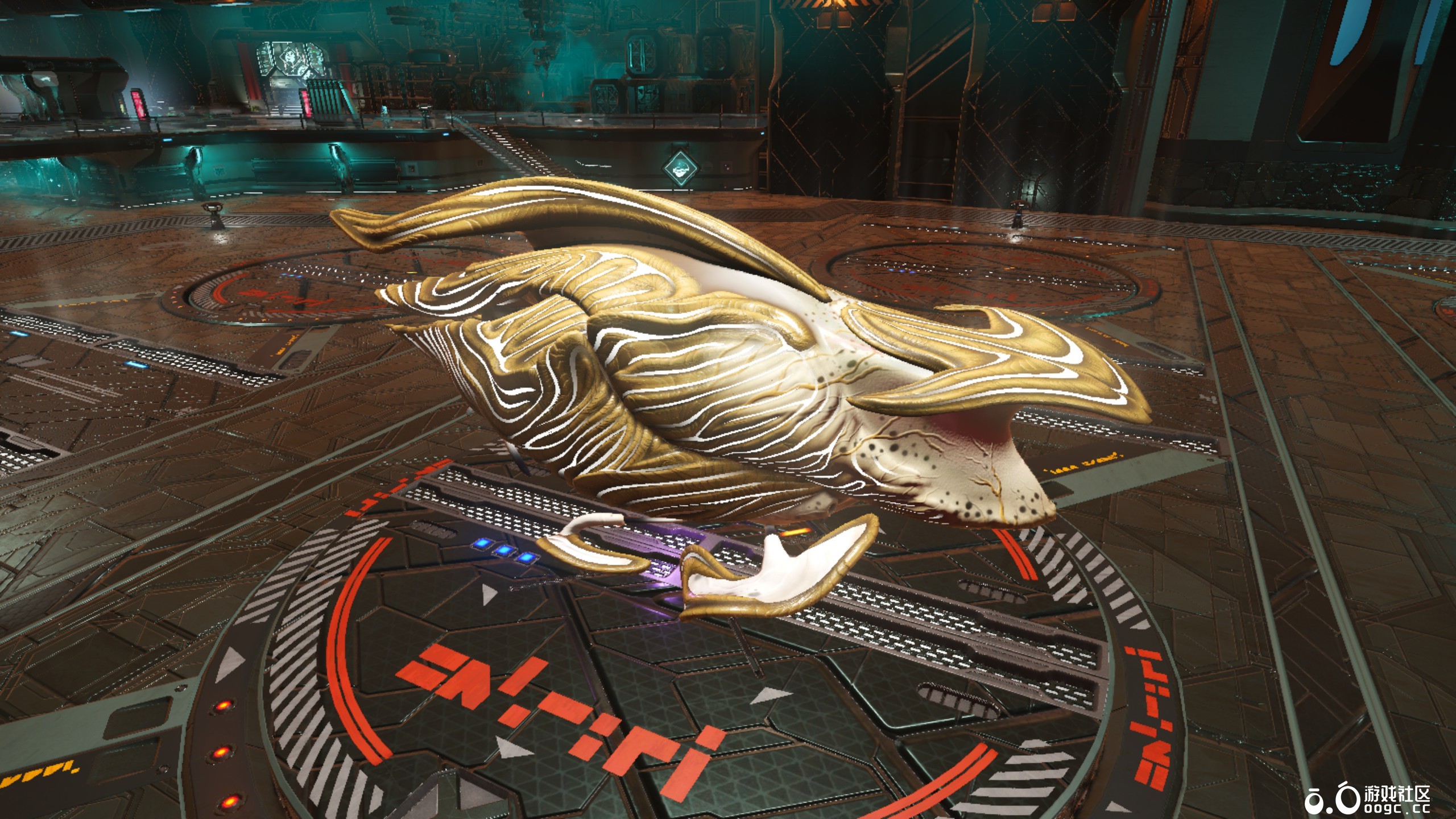 几个生物飞船-3