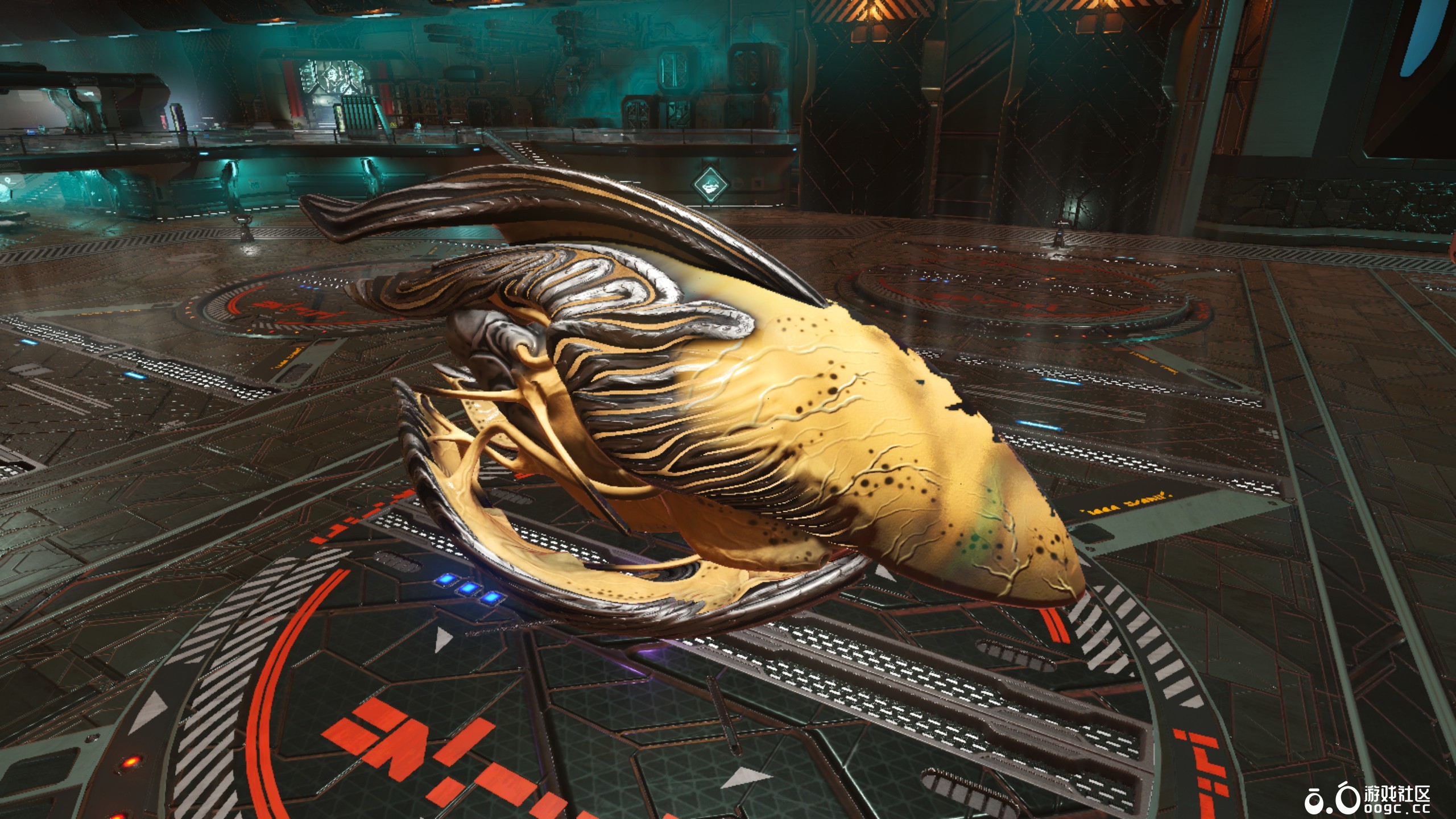 几个生物飞船-19