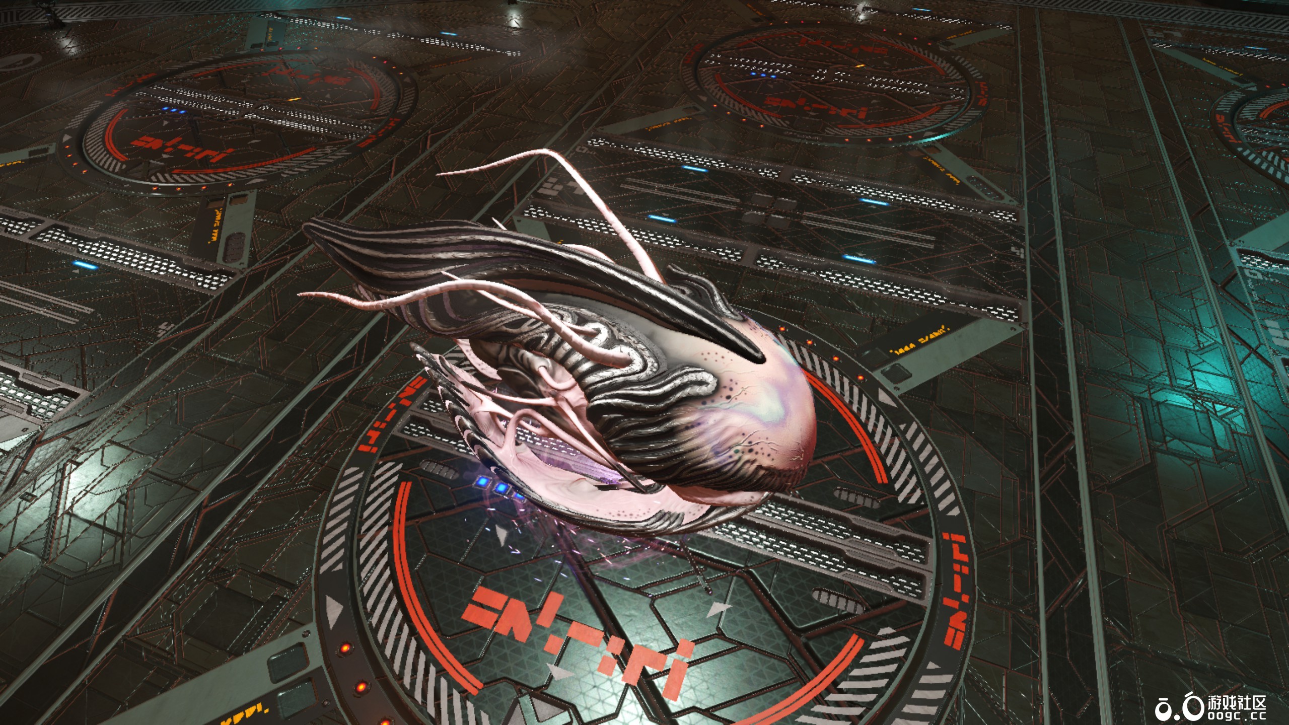 几个生物飞船-9