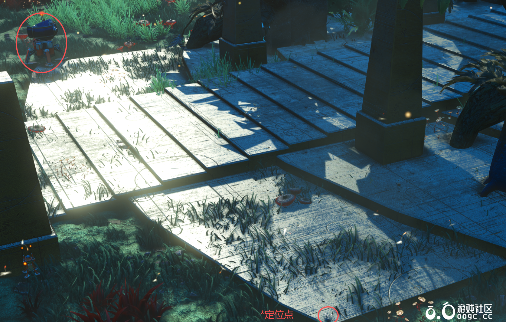 丛林遗迹传送门装饰（简易版）-3