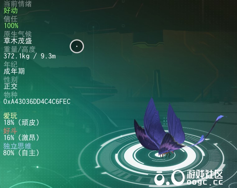 几个特殊宠物-1