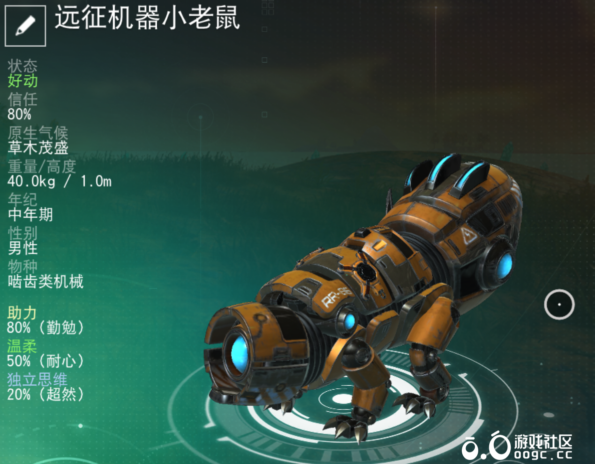 远征奖励机器鼠-1