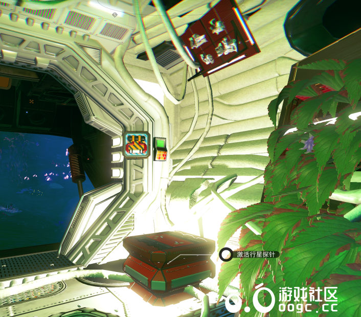 毁灭菇-多种功能集合一身。-9