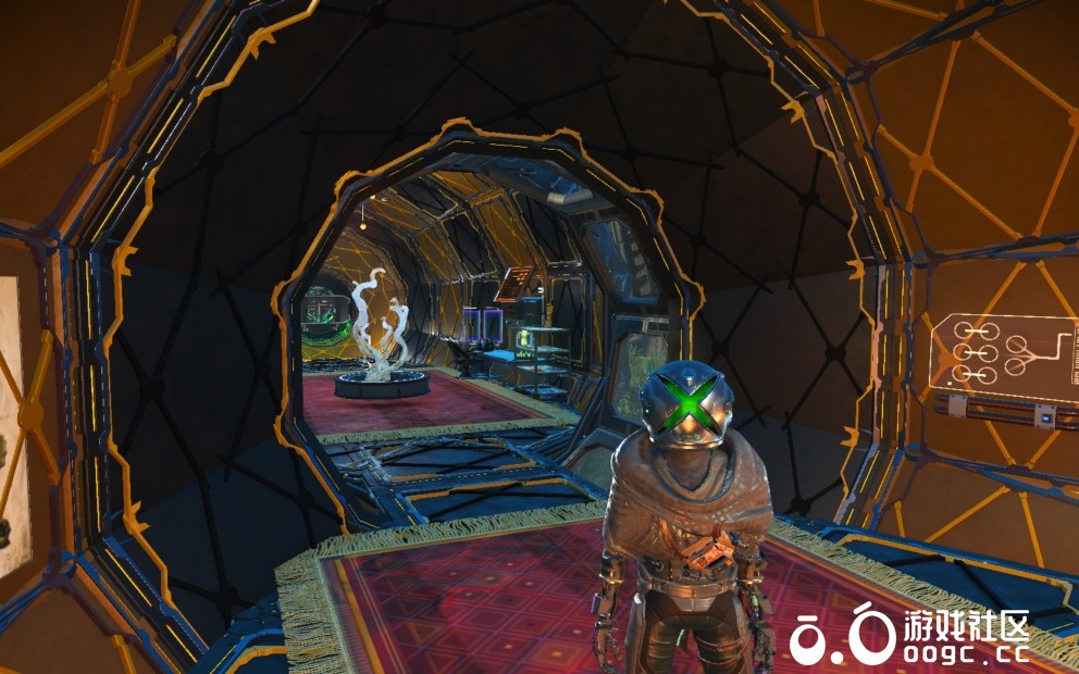 是蝇是蜂我说了算-3