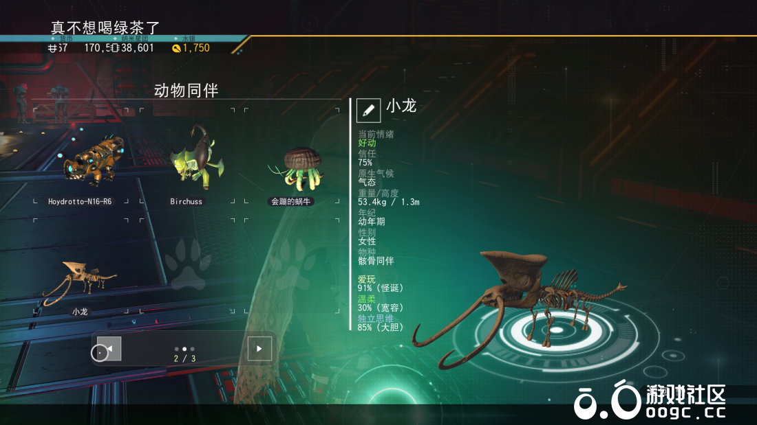 小骨龙-1
