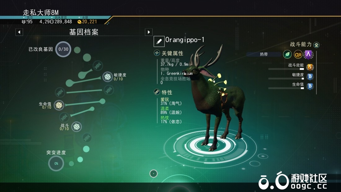 鹿王-1
